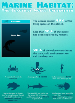 underthevastblueseas:  Infographic by ReuseThisBag 