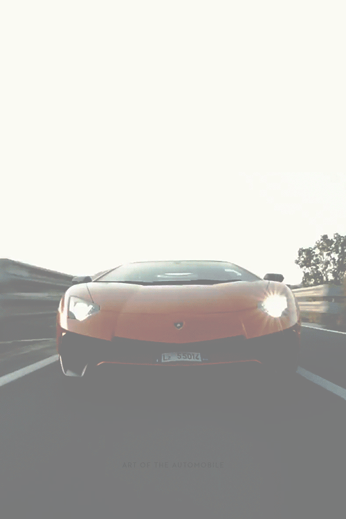 artoftheautomobile:  Lamborghini Aventador SV/DRIVE