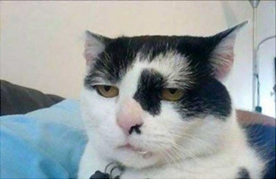 draven926:  theboywasonfiretoo:  michaeeeeeeeeeeeeeel:  tom-sits-like-a-whore:  to get a lot of followers you need a popular post to get a popular post you need a lot of followers   to get a job you need experience to get experience you need a job   to