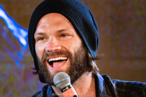 lemondropsonice: N°31 in the JIBWEEK 2019 photo spam - Sunday: Jared (clickable)