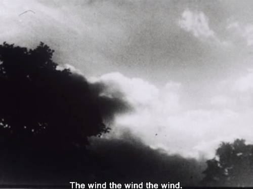 duoyen:Lost, lost, lost (1976), Jonas Mekas