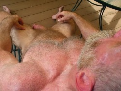 bearlysane: