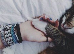 thelittlemonsterus:  • sur We Heart It.