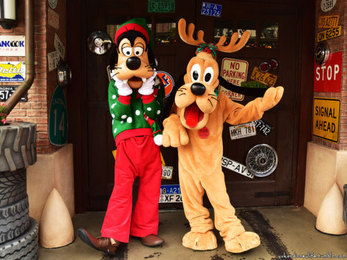 Shanghai Disneyland’s Christmas Mickey and friends meet and greeting.