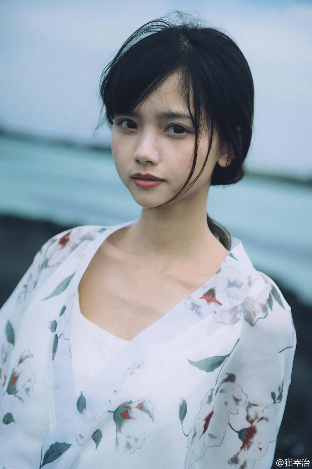 quantanp:  Cat nekoko猫子_猫梓