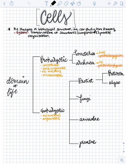 twooatomsinamolecule: (60/100) // 2.6.17 // First Notability notes for biology. I love it so far. Us