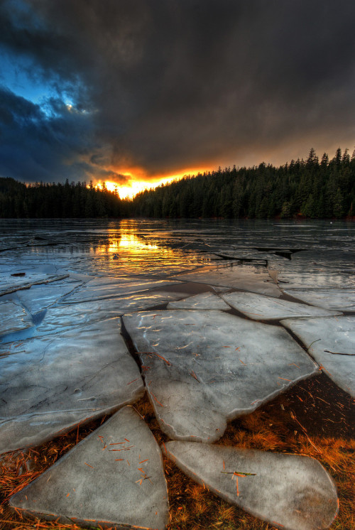 unwrittennature:   The break up  Carlos Rojas   
