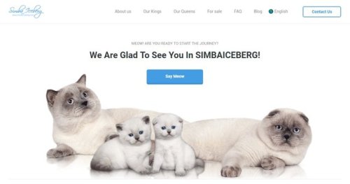 New Year - New Website! Welcome!    ❤️ www.simba-iceberg.com ❤️ Today we are glad 