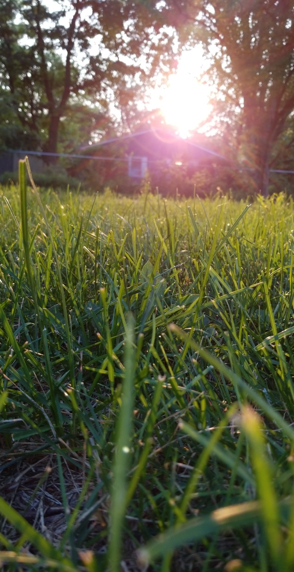 thebeserkerhealer:  I took these while i was hammered the other day