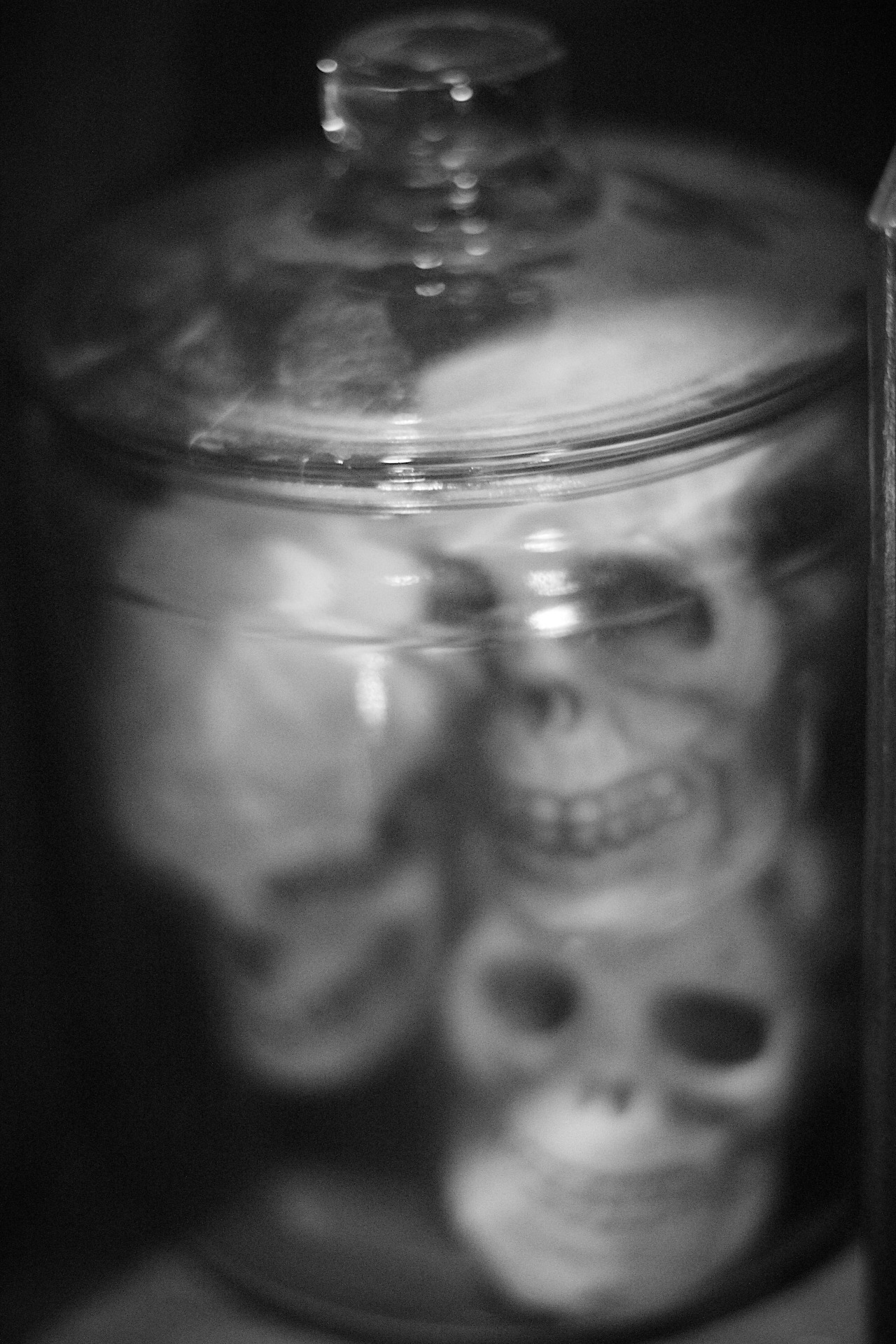 Horror Scope Photo