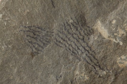 Who’s been writing on the rocks? Although there’s a disappointing amount of graffiti fou