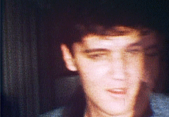 jaqueline19997 - elvis is my baby