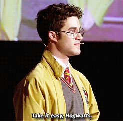dbedca:  Our clearest memory of the show, we think, will be when Darren broke character a tiny bit, for a moment alone on that stage, saying thank you and goodbye, and that it had been “totally awesome.” Just those two words, he looked the audience