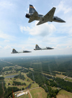 fcba:  T-38 Talons of the US Air Force fly