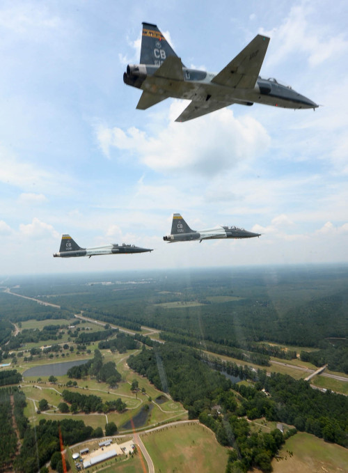 fcba:  T-38 Talons of the US Air Force fly adult photos