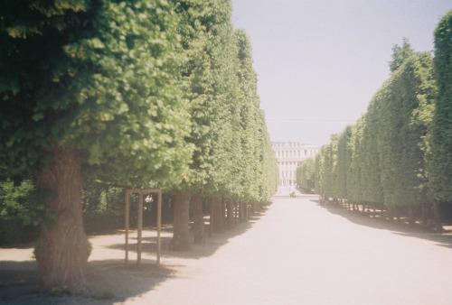 englishsnow: Sarah LongworthSchönbrunn Palace