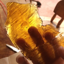 illrarelyusethis:  Blue OG slab smacks you with the sweet taste of the blue dream, but that pungent OG after taste! One of my favorites by far! Love me a thick slab 