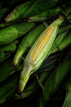 &ldquo;It&rsquo;s Not Heaven, It&rsquo;s Iowa&rdquo; sweet corn is ready-jerrysEYES