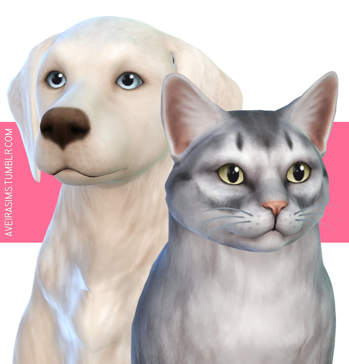 the sims 4 cat and dog animal genitalia mod the sims 4 cat and dog animal genitalia mod