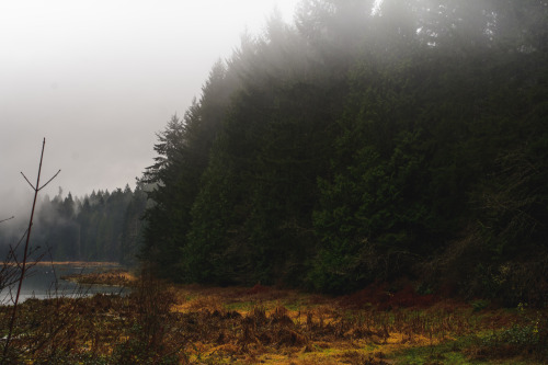 darkcoastphotography:'Obliteration'Hemer Provincial Park, Vancouver Island, British Columbiatumblr |