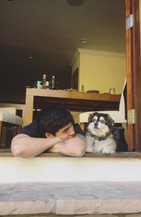 calums-things: Calum and Duke appreciation post. Look at them, they’re so cute together. ♡