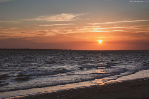 Charleston Sunsets