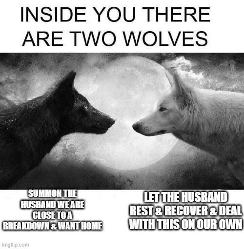 Meme Prompt 11