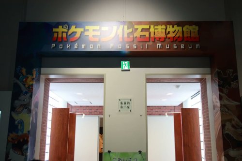 Images From The Pokemon Fossil Exhibit.