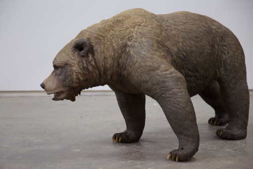 Etruscan Bear, Ursus etruscus, the dog-bear Hemicyon sansaniensis, and small Eurotamandua, an extinc