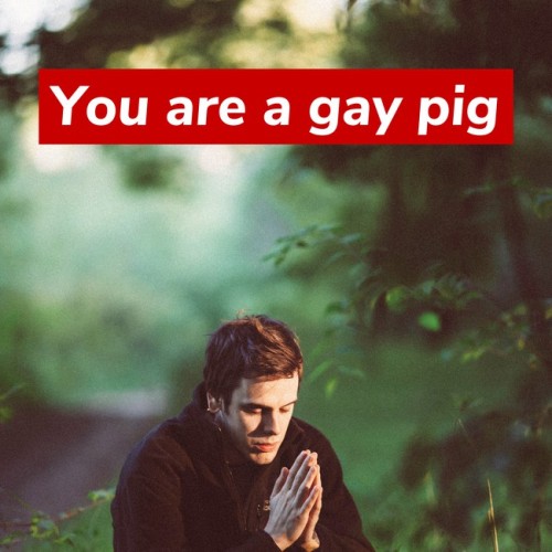 [You are a gay pig]