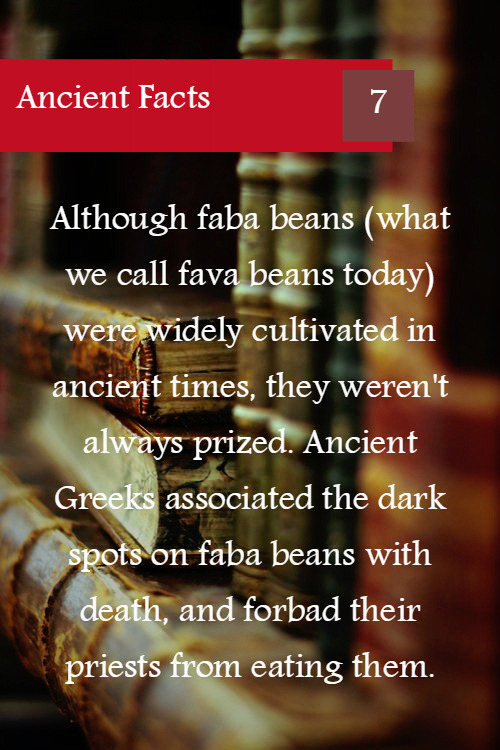 Ancient Facts 7: Beans? No thanks&hellip;