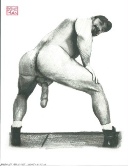 Hollandbear