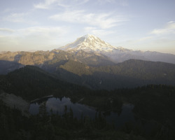 morgan-phillips:  Mt. Rainier. 