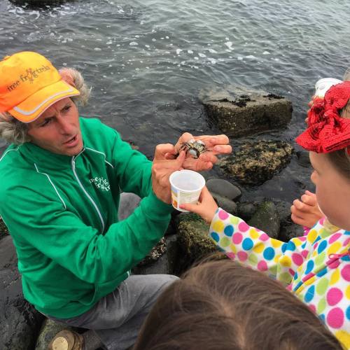 Mr. Science showing off the eggs of a pregnant Purple Shore Crab #mother! Female crabs have a wide p