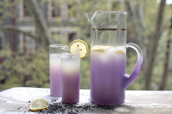 Everybody-Loves-To-Eat:  Lavender Lemonade By Noerah And Talia On Flickr.