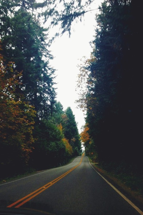 burning-soul:  Photograph by Alesha Brown on 500px 