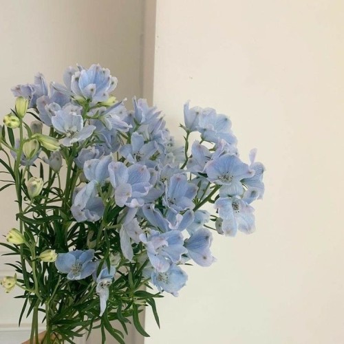 Scent Of You