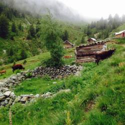 discover-kosovo:  Village in Kosova Source:fb/HD