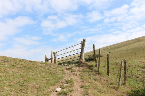 Purbeck Hills - Dorset, Summer 2018.Instagram© Jim Paterson - All rights reserved.