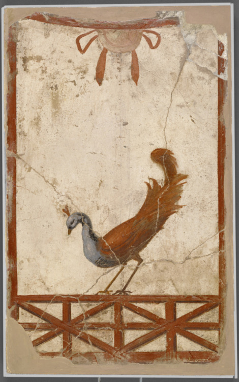 historyfilia:Wall Fragment with a PeacockRomanfresco (1st century A.D) Now at the J. Paul Getty Muse