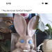 shiftythrifting:Brush your teeth or this rabbit will find you 😳