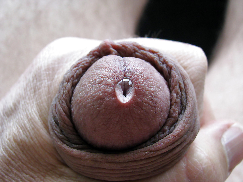 gluteus maximus