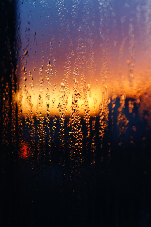 missjijy:  Beautiful Sunset from my Window. (by Alan Swan!) 