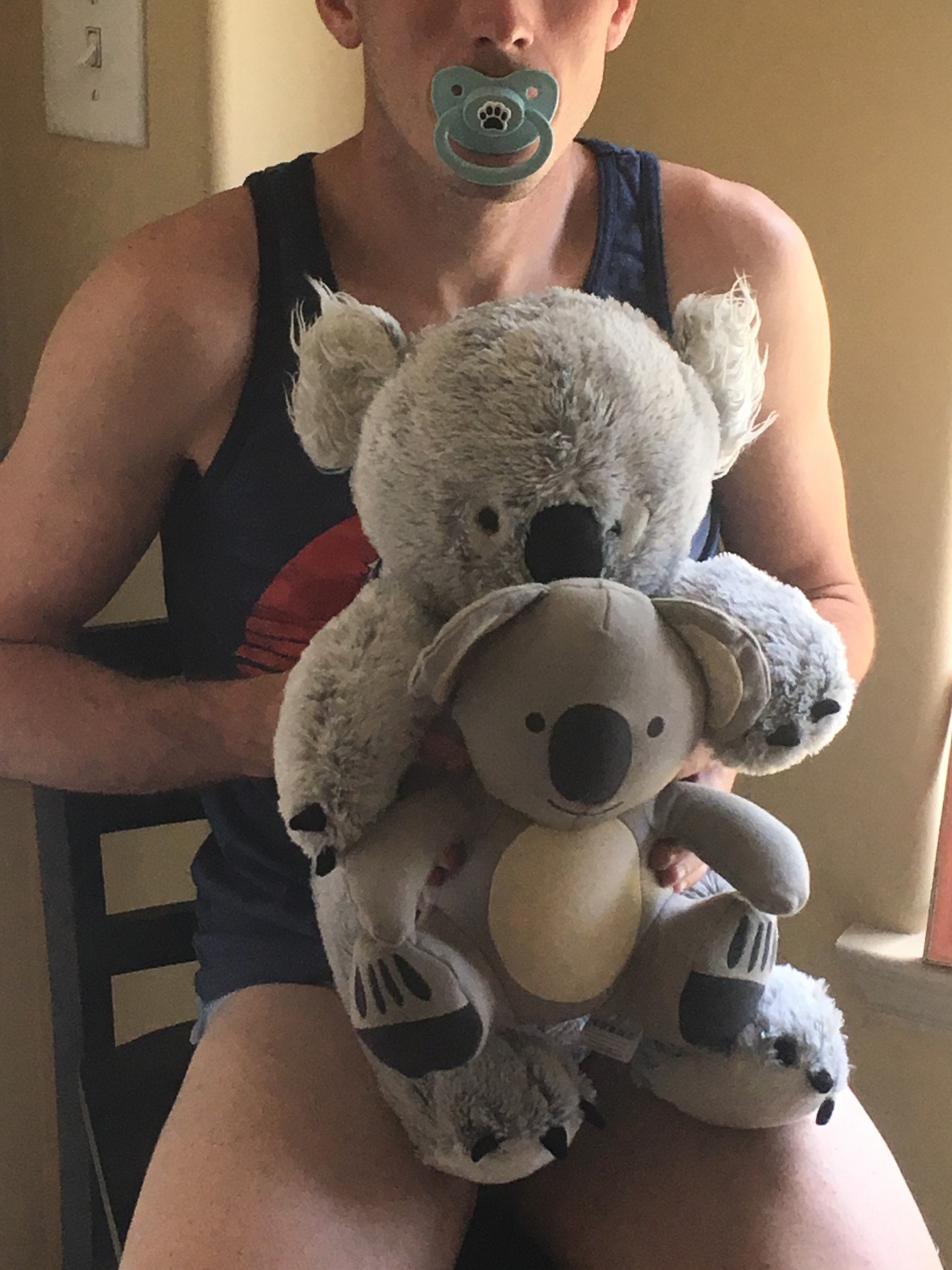 devman326:  The koala squad and I are ready to start the day!! Noms, naps, and nuzzles