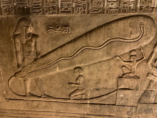 Scenery And Imagery From The Hathor Temple At Dendera, Built In The Greco-Roman Period