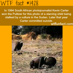 wtf-fun-factss:  The saddest photo in the world? WTF FUN FACTS HOME / See MORE tagged/  History FACTS