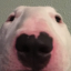 cinnawave