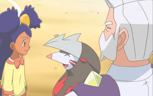 multiscales:  Opelucid Gym Leader and Dragon Master, Drayden 