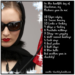 vanilla-chastity:  On the twelfth day of Chastemas, my Mistress gave to me:12 Edges edging11 Teases teasing10 Locks a-locking9 Whips a-lashing8 Prostate milkings7 Strap-ons pegging6 Well-earned beatings5 Cock rings4 Anal probes3 Ball slaps2 Blue ballsAnd