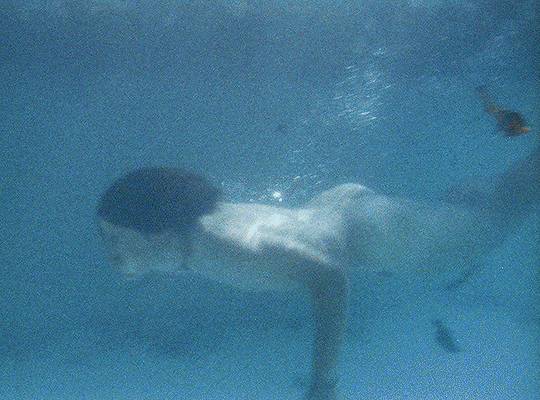 b21ad31c2e66a40675847a763a19dfecc54e2caa